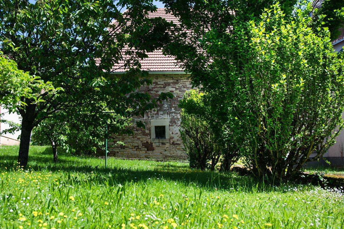 Maison à SAULNOT