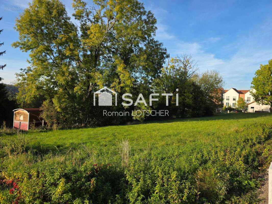 Photo 4 - Terrain à VESOUL