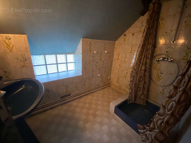 Nogent le roi - centre - photo 11