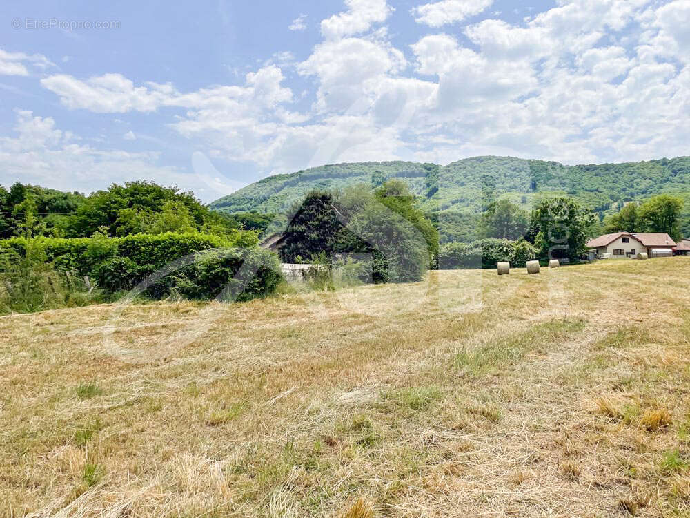 Terrain viabilisé (Lot 12) - Terrain à BEAUCROISSANT