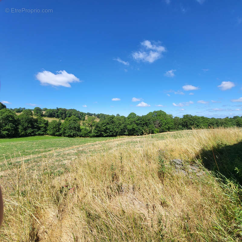 Grange en pierres - photo 12