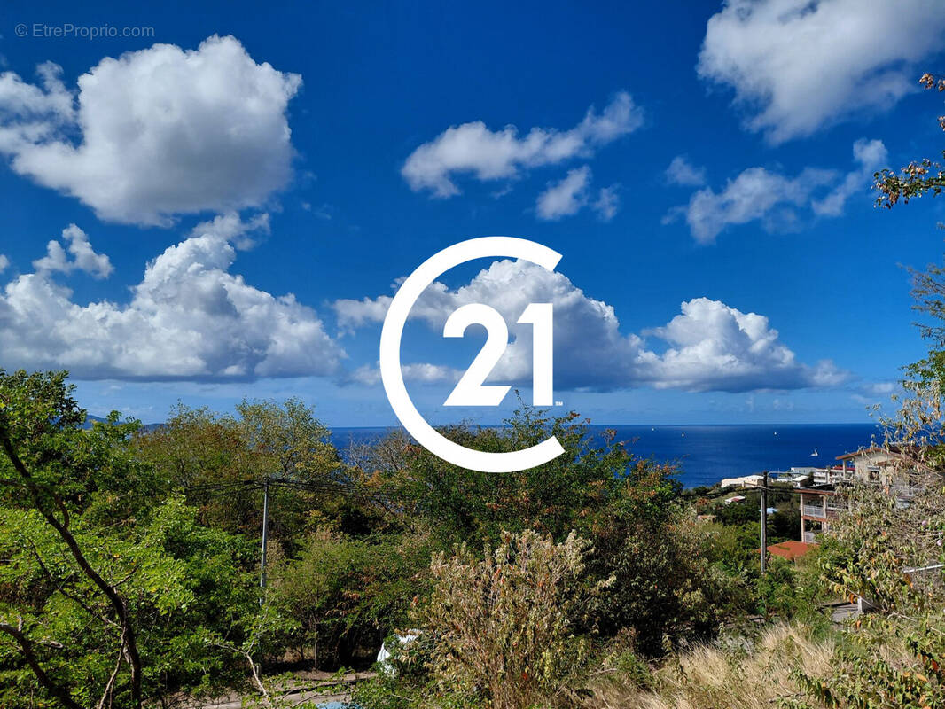 Terrain à SCHOELCHER