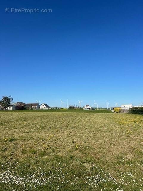 Terrain à SAINTE-MAURE