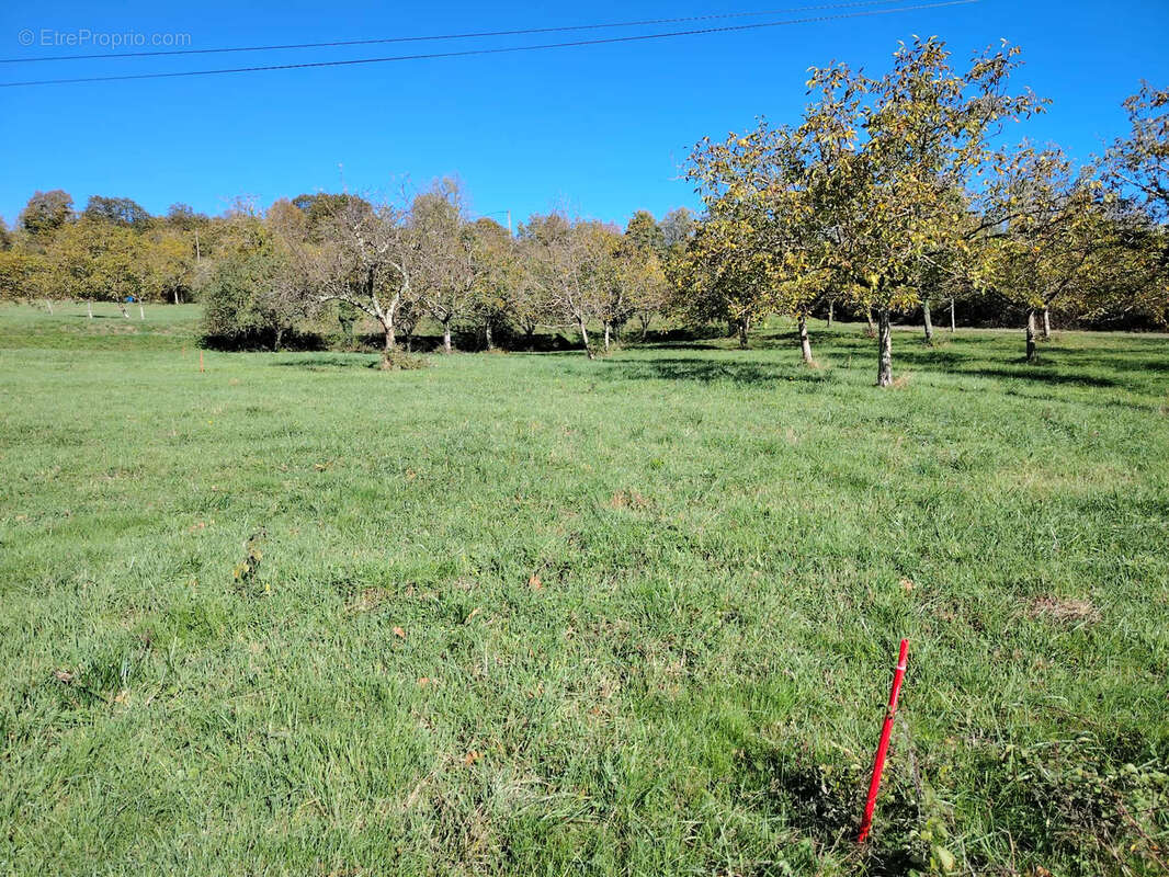 Terrain à SAINT-ANDRE-EN-ROYANS
