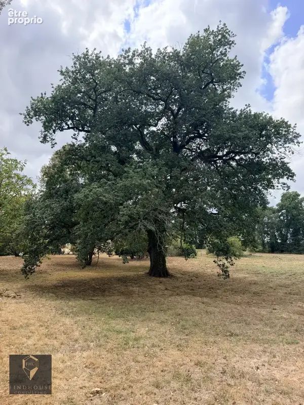 Ferme t6 - 1,5 hectare - 211 m2 - dépendances - étang - puits - piscine - photo 17