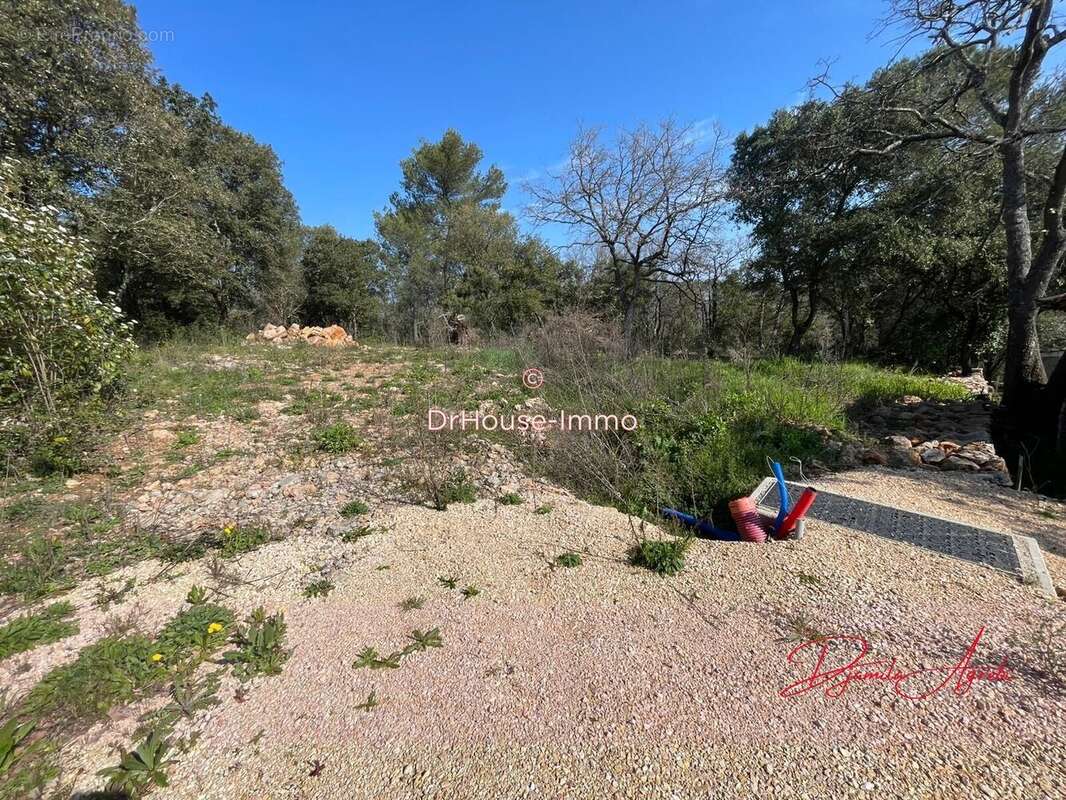 Terrain 7807 m² à Saint-Maximin-La-Sainte-Baume  - photo 10