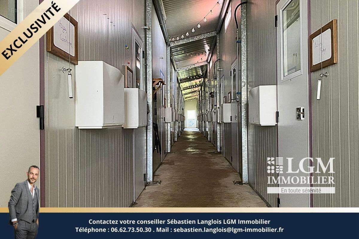 Plaisance du Touch, Propriété de charme avec maison rénovée et bâtiment de 380m2 sur 1,59 hectare - photo 15