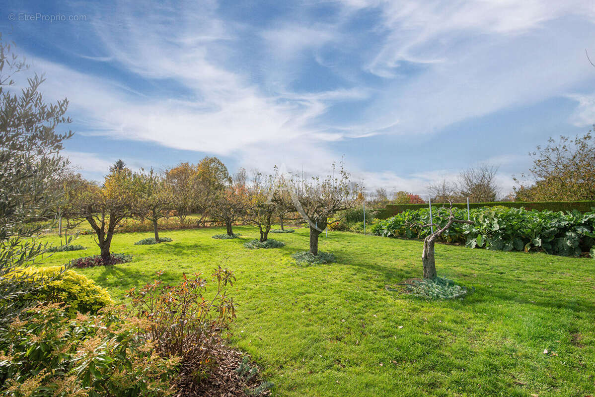 Maison à SAINT-GEORGES-SUR-LOIRE