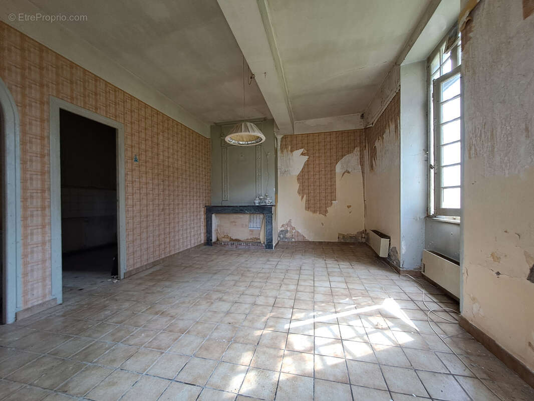 Maison à BUZET-SUR-BAISE