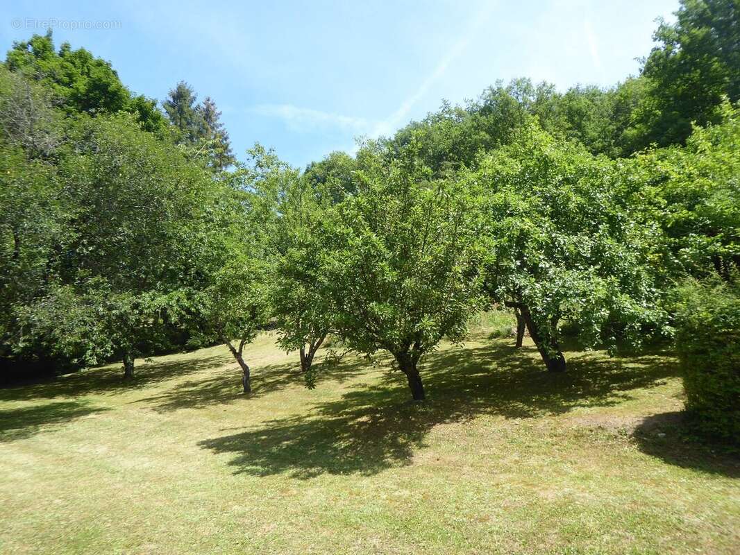 Maison à SICCIEU-SAINT-JULIEN-ET-CARISIEU