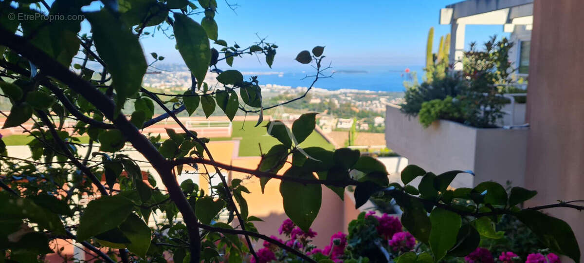 Appartement à MANDELIEU-LA-NAPOULE