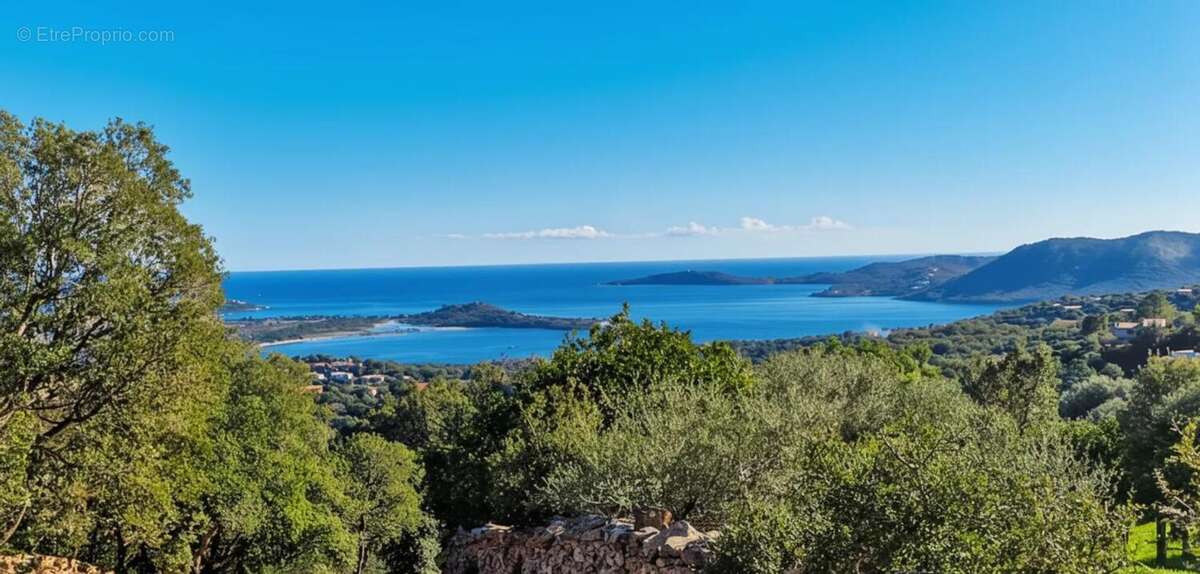 Maison à PORTO-VECCHIO