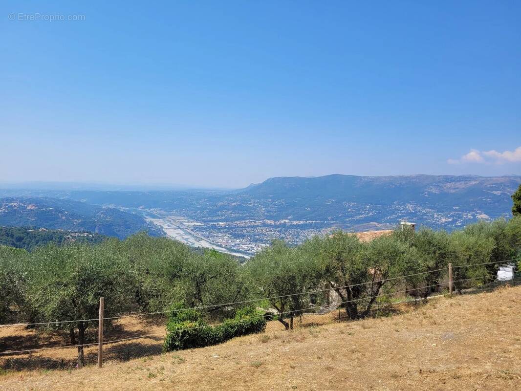 Terrain à ASPREMONT