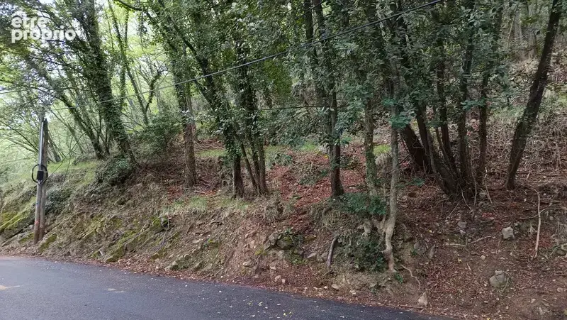 Terrain à vendre de 16 225,00 m² PEILLE (06) - photo 2