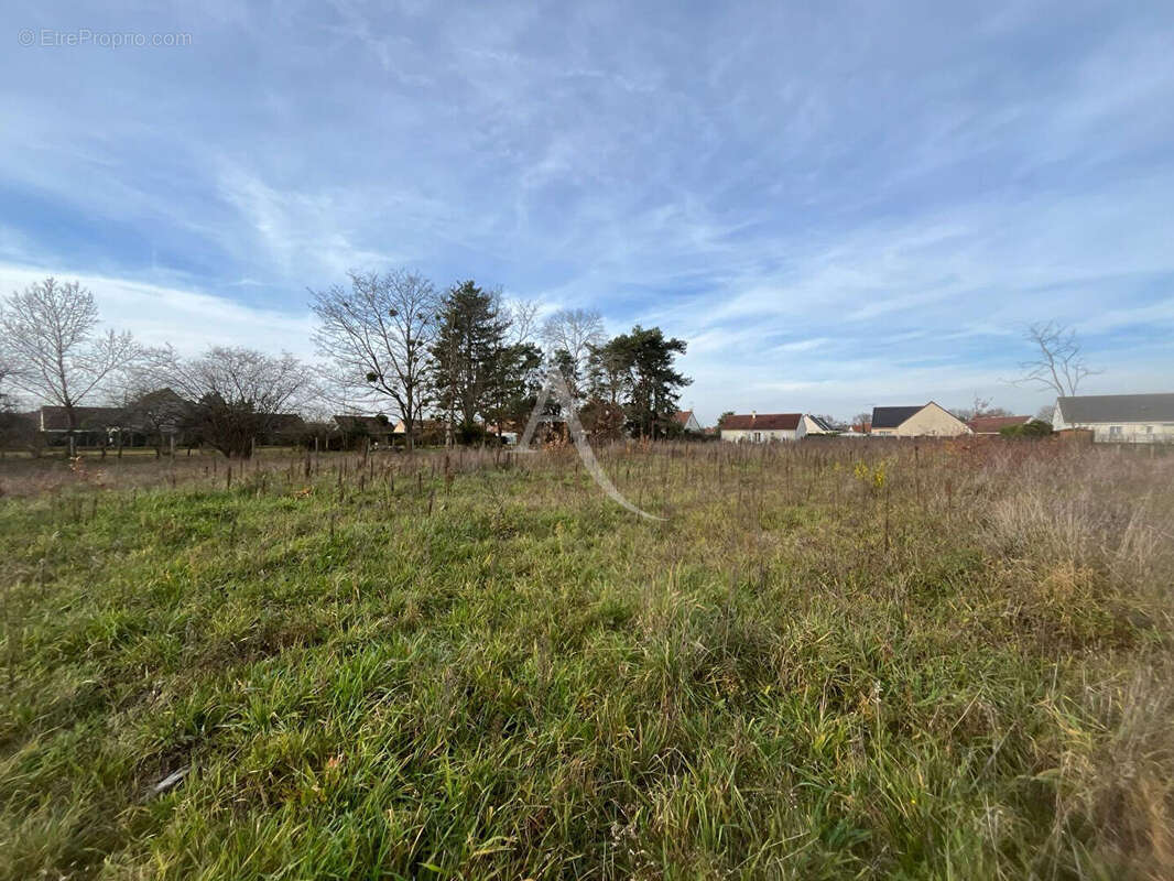 Terrain à LES MONTILS