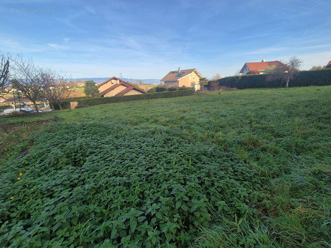 Terrain à ALLINGES