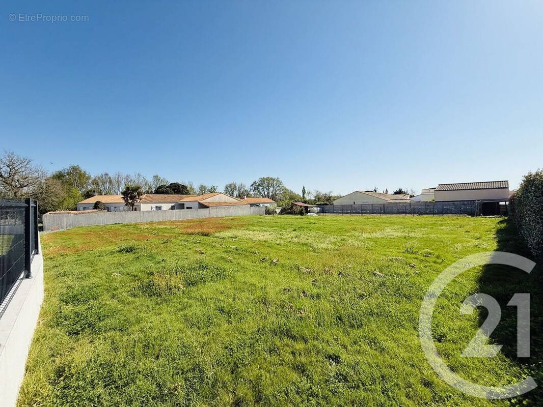 Terrain à TALMONT-SAINT-HILAIRE