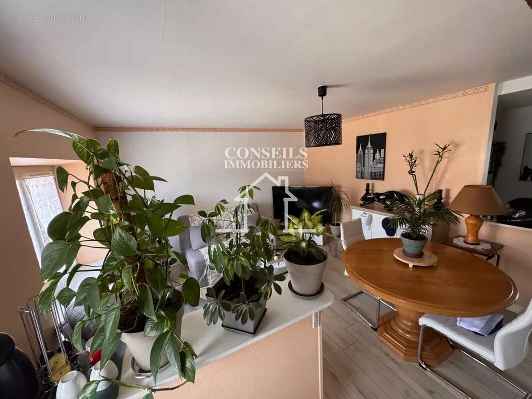 Maison à VILLENEUVE-SUR-YONNE