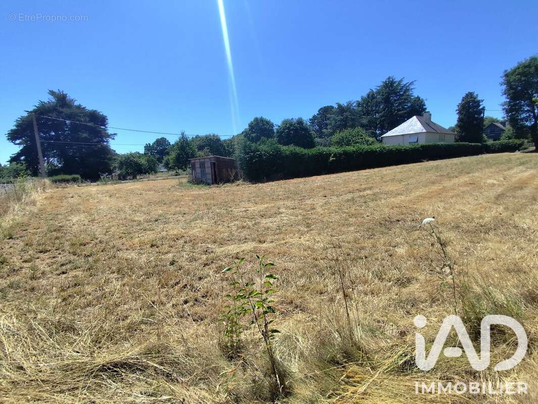 Terrain 890 m² à Bains-Sur-Oust  - photo 3
