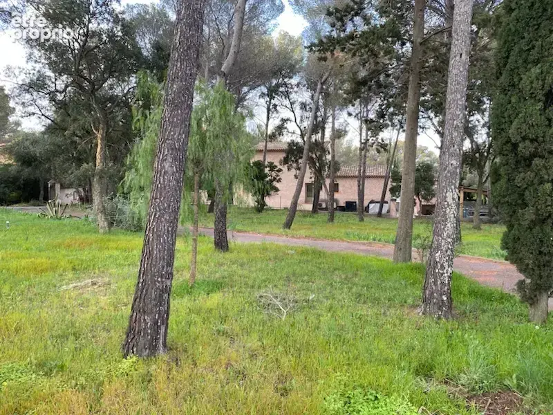 Villa provençale de 150M2 sur un terrain de 5000M2 BEAUCOUP DE POTENTIELS. - photo 3