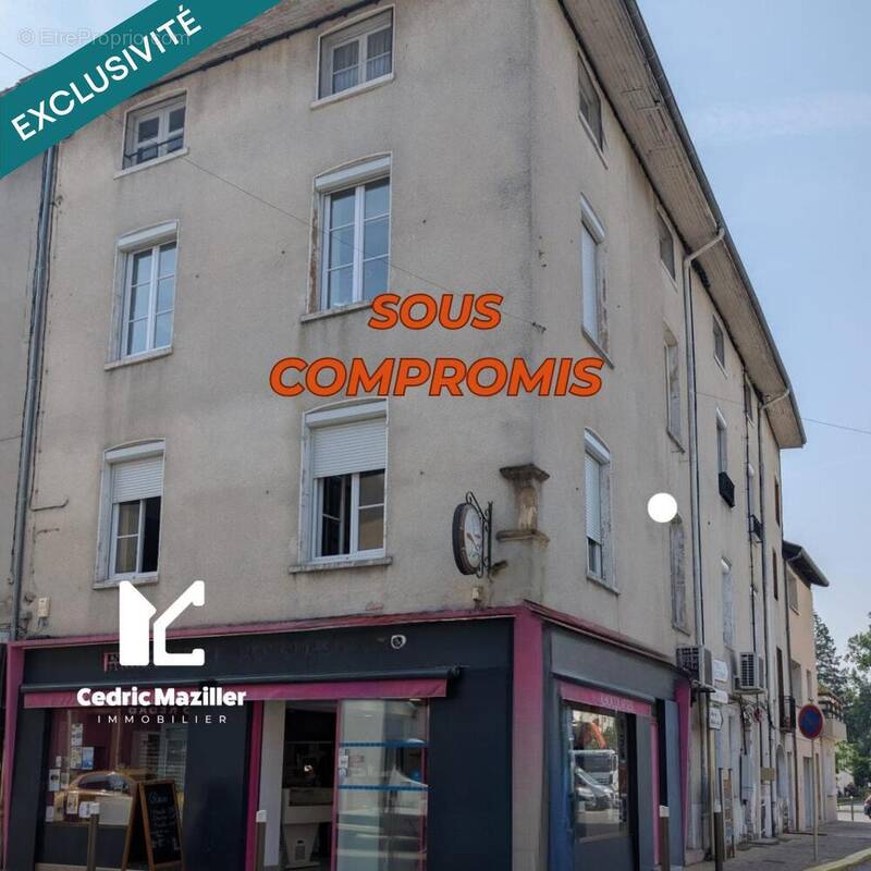 Photo 1 - Appartement à THOISSEY