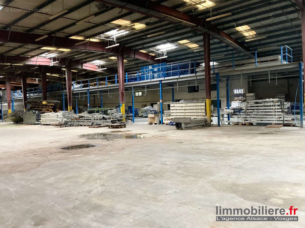 Commerce à SAINTE-MARIE-AUX-MINES