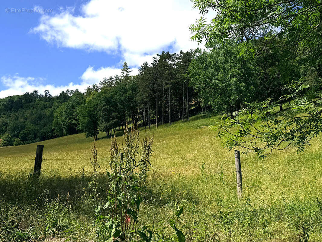 Domaine Saint Germain De Joux  ancienne ferme de 273 m2 sur 21 ha - photo 17