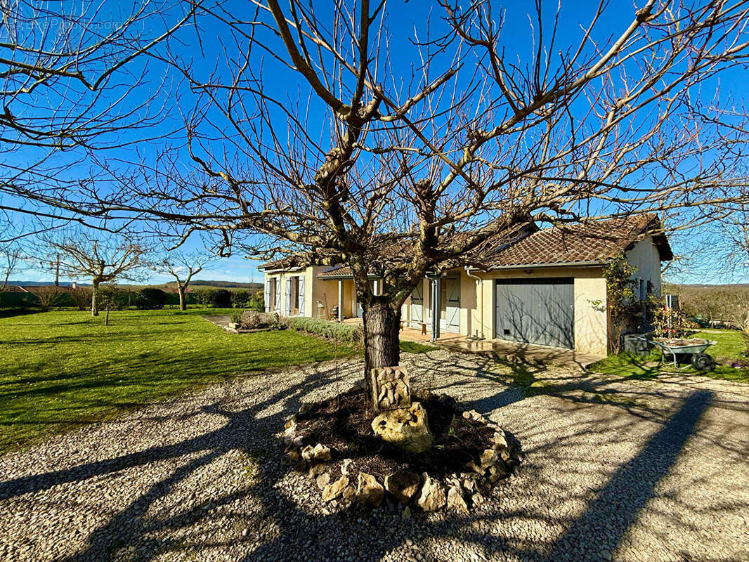 Maison à MONFLANQUIN