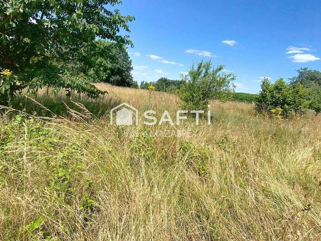 Photo 2 - Maison à BRAY-SUR-SEINE