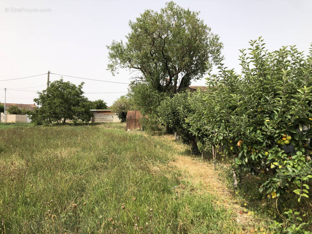 Terrain à SAINT-JEAN-DE-SAUVES