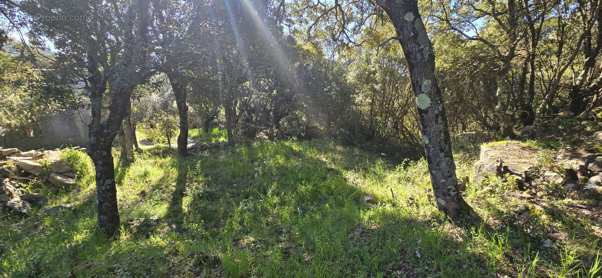 Terrain à GIUNCHETO