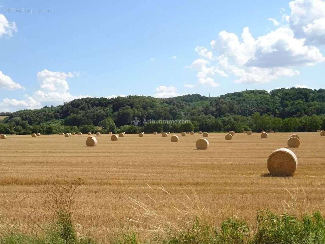 Terrain à SAINT-JEAN-DE-BOURNAY