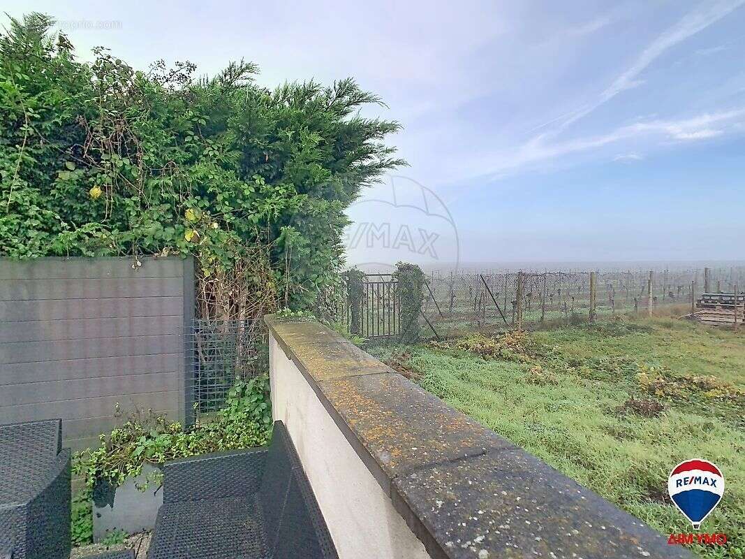 Maison à WINTZENHEIM