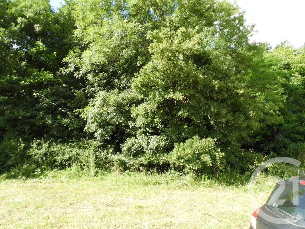 Terrain à DAMMARTIN-EN-GOELE