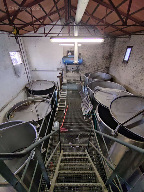 Maison à BANYULS-SUR-MER