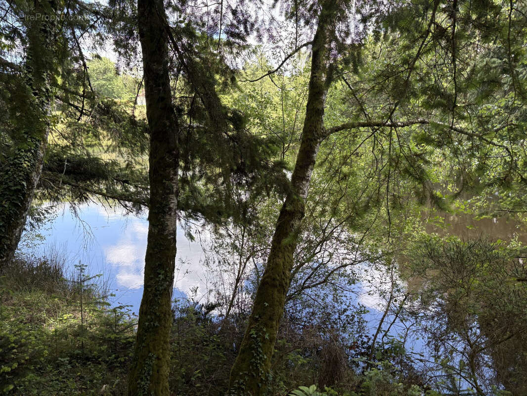 Proche Saint Yrieix La Perche - photo 9