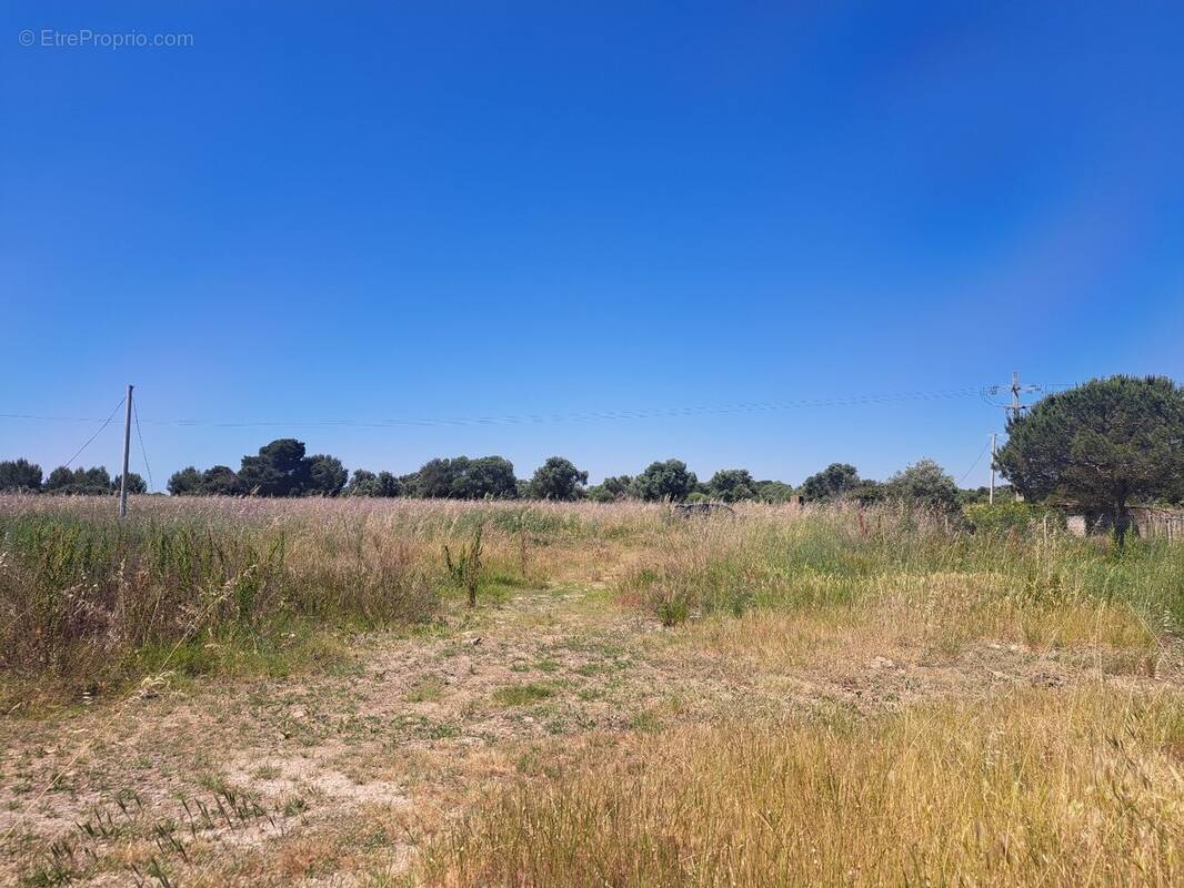Terrain à SERIGNAN