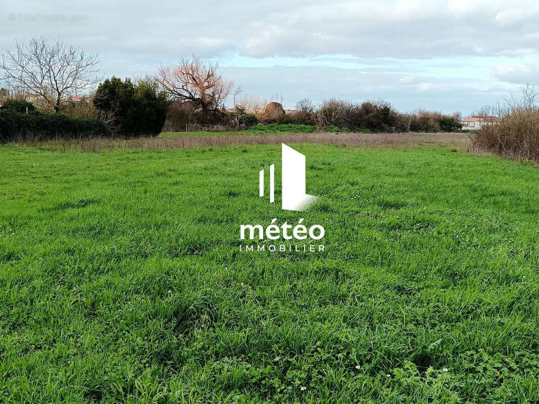 Terrain à PUYRAVAULT