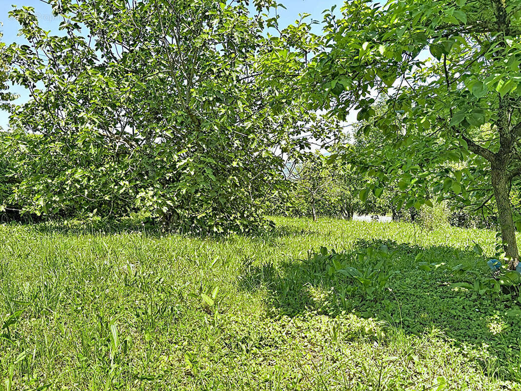 Appartement à AMANCY