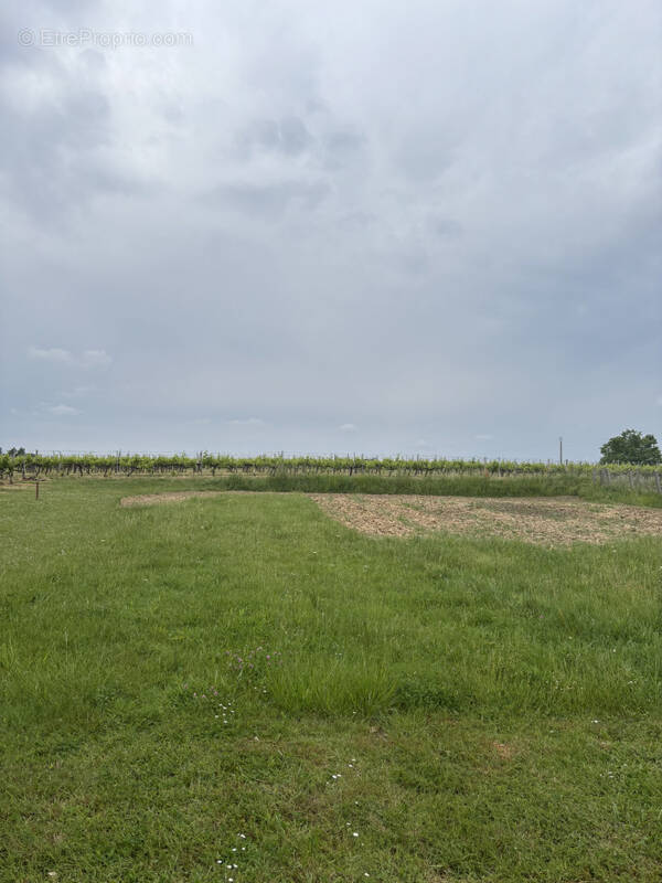 Terrain à PUGNAC