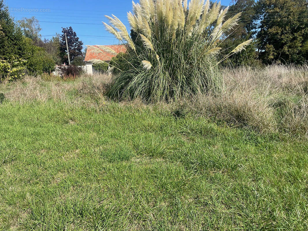 Terrain à SAINT-ANTOINE-DU-ROCHER