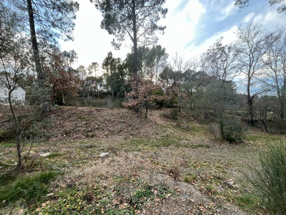 Terrain à SALERNES