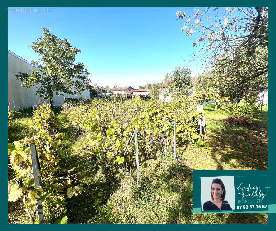 Maison à VITRY-LE-FRANCOIS