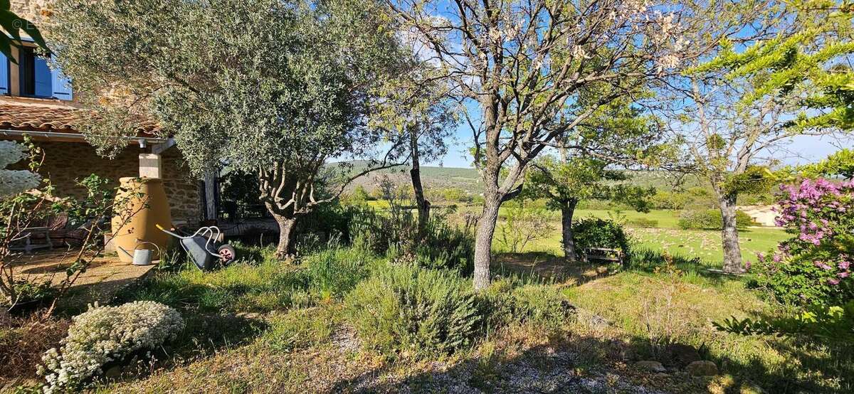 Photo 8 - Maison à FORCALQUIER