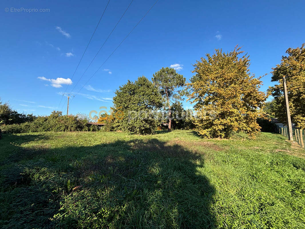 Terrain à LE PASSAGE