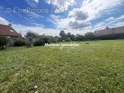 Terrain à MONCE-EN-BELIN