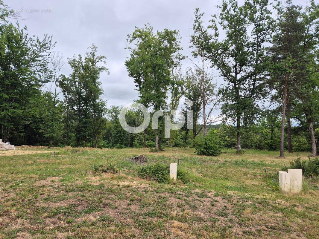 Terrain à TRELISSAC