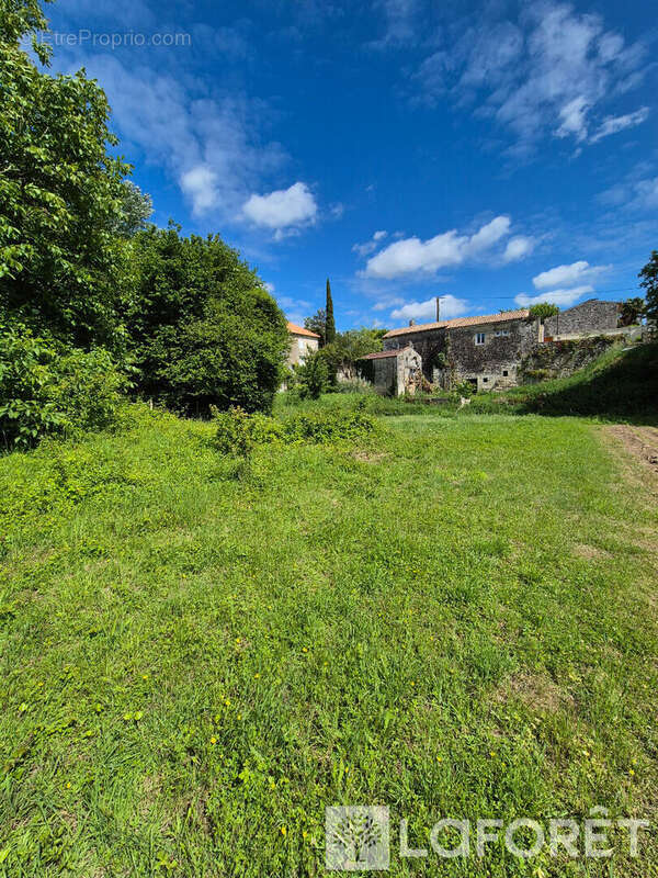 Maison charentaise Saint Savinien - photo 3
