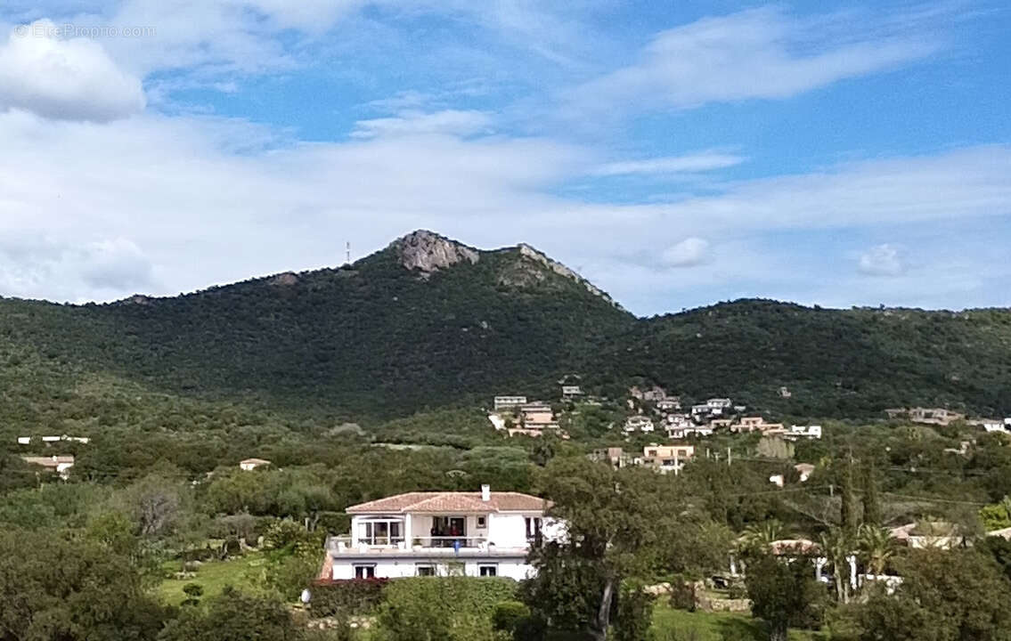 Maison à PORTO-VECCHIO