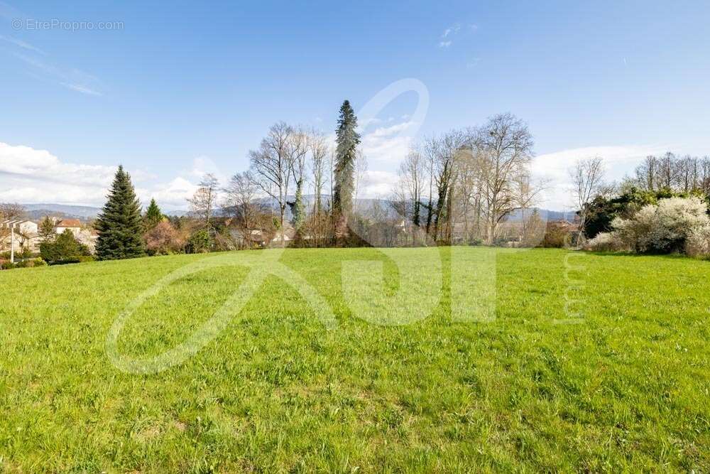 Terrain viabilisé (Lot 6) - Terrain à SAINT-JEAN-D'AVELANNE